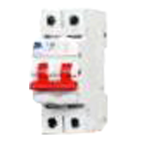 C&S Electric 100a 2 Pole Isolator